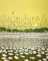 Daisy Moon by Phil Greenwood